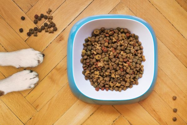 Do Pet Food Factories Have The Same Food Safety Rules As Human Plants? pet food image
